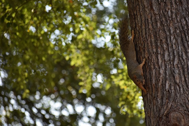 对位防守几乎无懈可击